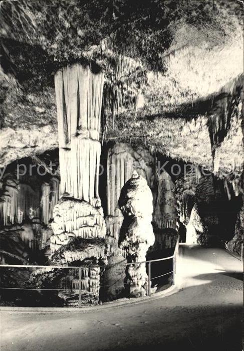 Hoehlen Caves Grottes Postojnska Jama Slowenien