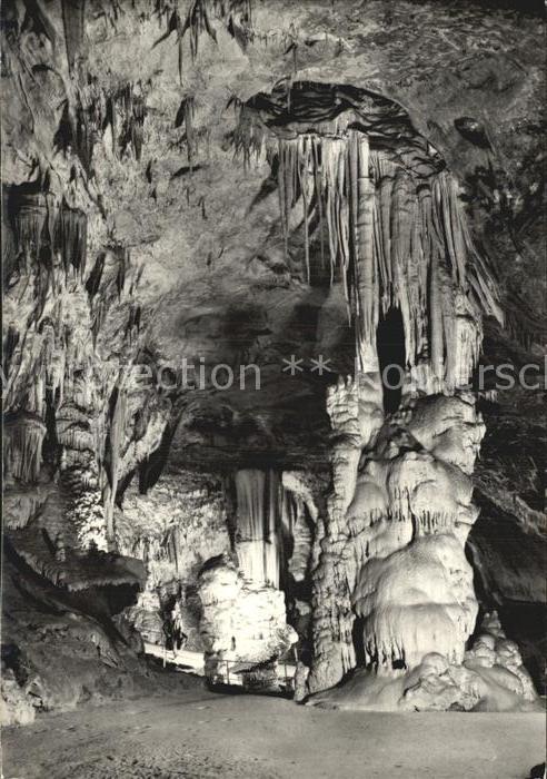 Hoehlen Caves Grottes Postojnska Jama Slowenien