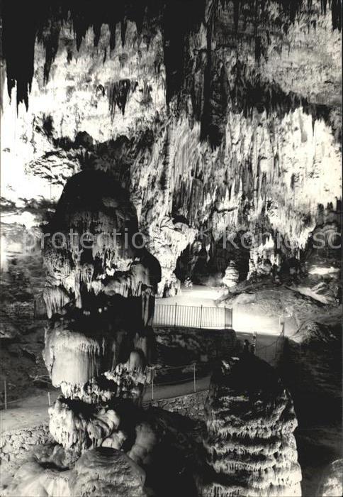 Hoehlen Caves Grottes Postojnska Jama Slowenien Tartarus