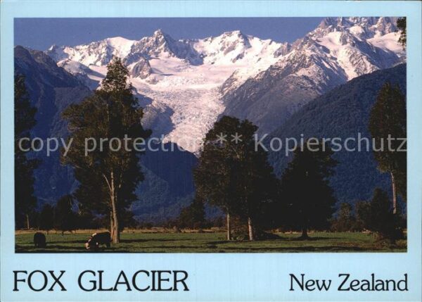 Gletscher Fox Glacier New Zealand