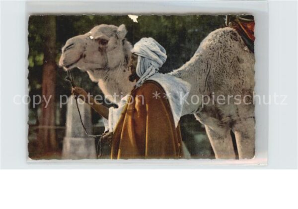 Scenes et Types Nr. 8.191 Un chamelier Kamel