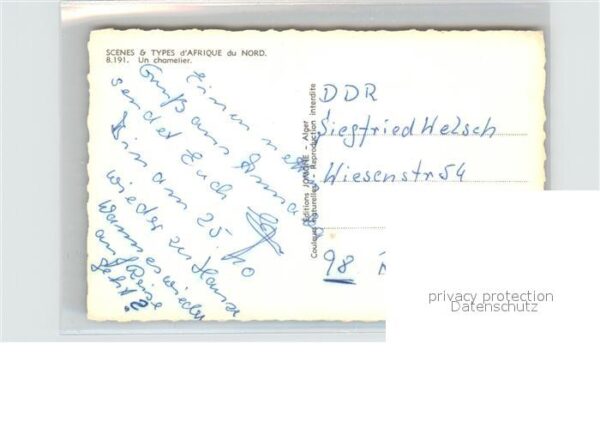 Scenes et Types Nr. 8.191 Un chamelier Kamel – Bild 2