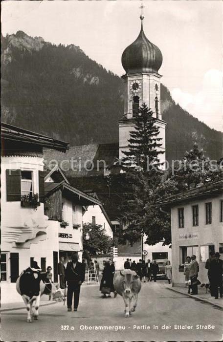 Oberammergau Partie in der Ettaler Strasse Viehtrieb