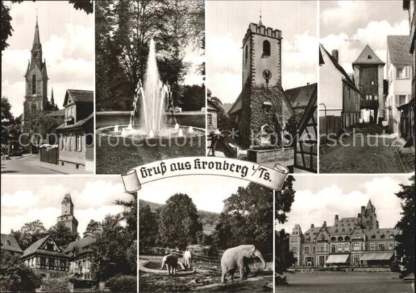 Kronberg Taunus Kirche Brunnen Turm Torbogen Markt Tier