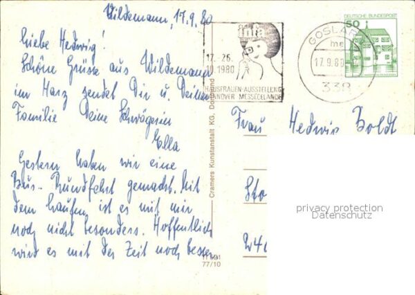 Torfhaus Harz Damwild in freier Wildbahn Okertalsperr – Bild 2