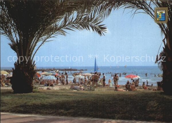 Benicasim Playa Strand Palmen
