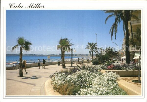 Cala Millor Mallorca Uferpromenade Palmen
