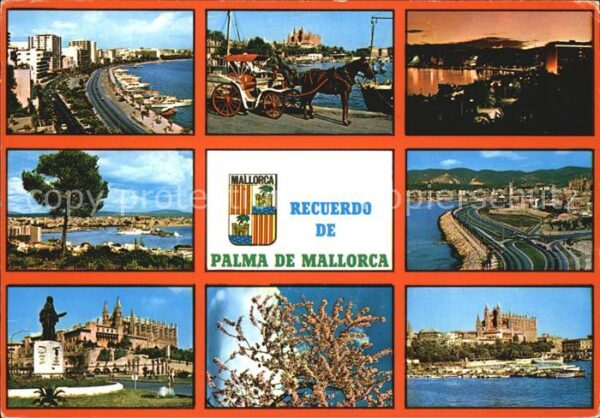 Palma de Mallorca Teilansichten Denkmal Baumblüte Sonnenu