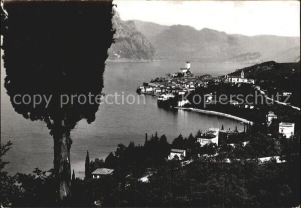 Malcesine Lago di Garda Panorama Gardasee
