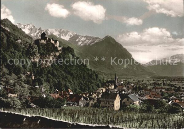 Vaduz Gesamtansicht mit Schloss Alpen