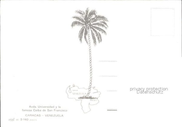Caracas Avenida Universidad y la famosa Ceiba d – Bild 2