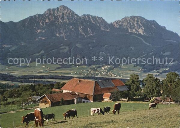 Anger Chiemgau Strobl Alm am Högl mit Hochstaufen Zwie