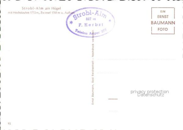 Anger Chiemgau Strobl Alm am Högl mit Hochstaufen Zwie – Bild 2
