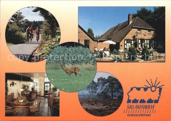 Nieuw Heeten Bungalowpark Sallandshoeve Gastraum Ter