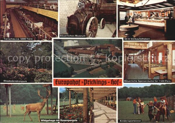 Sythen Europahof Prinkings Hof Tierschau Bäuer