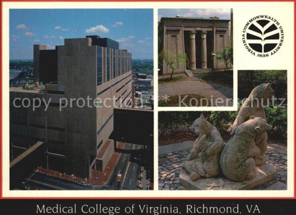 Richmond Virginia Medical College of Virginia Bärenskulpt