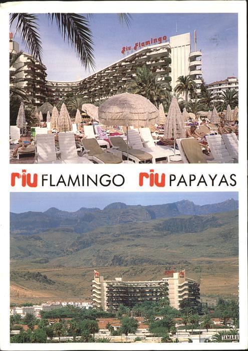 Playa del Ingles Aparthotel Riu Flamingo mit Hotel Riu P