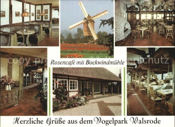 Walsrode Lueneburger Heide Rosencafe Bockwindmühle