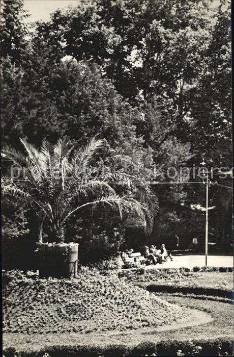 Buzias Park