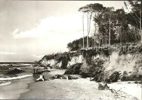 Graal-Mueritz Ostseebad Uhlenflucht Steilküste