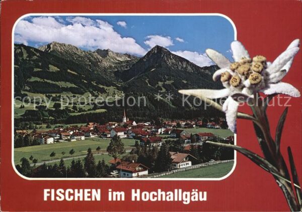 Fischen Allgaeu