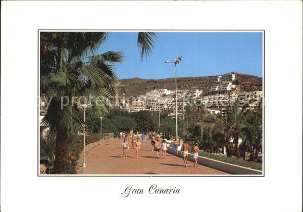 Gran Canaria Puerto rico