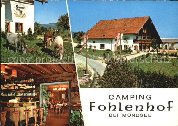 Mondsee Salzkammergut Fohlenhof Camping Ponnys Bar Restaurant