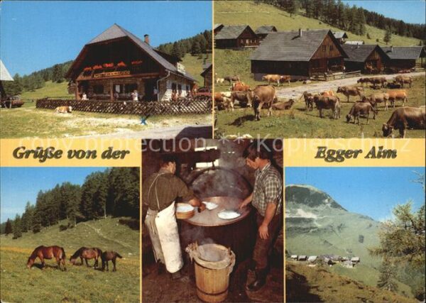 Hermagor Kaernten Egger Alm Viehherde Pferde Käserei