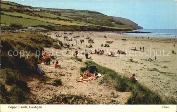 Pembrokeshire Poppit Sands Cardigan