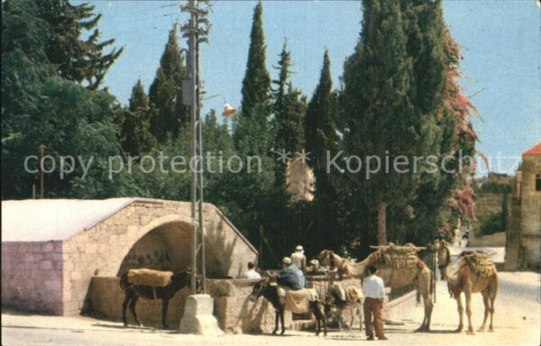 Nazareth Israel Public Well