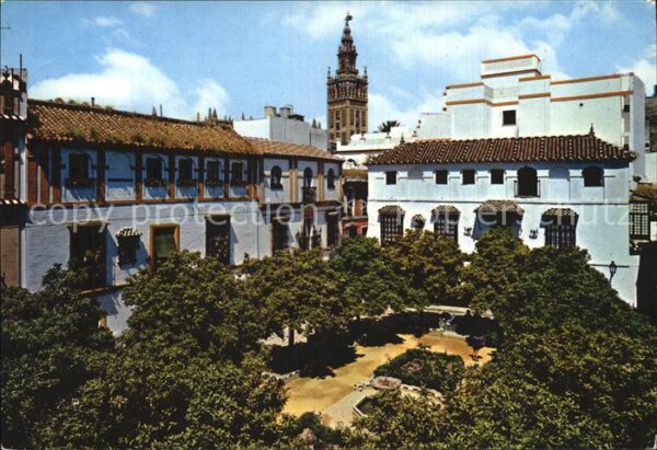 Sevilla Andalucia Dna Elvira Plaza