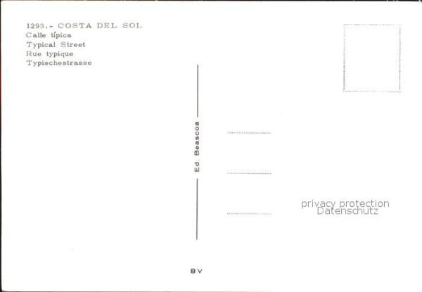 Costa Del Sol Calle tipica typische Strasse Blumensch – Bild 2