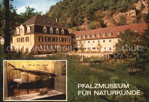 Grethen Bad Duerkheim Pfalzmuseum für Naturkunde