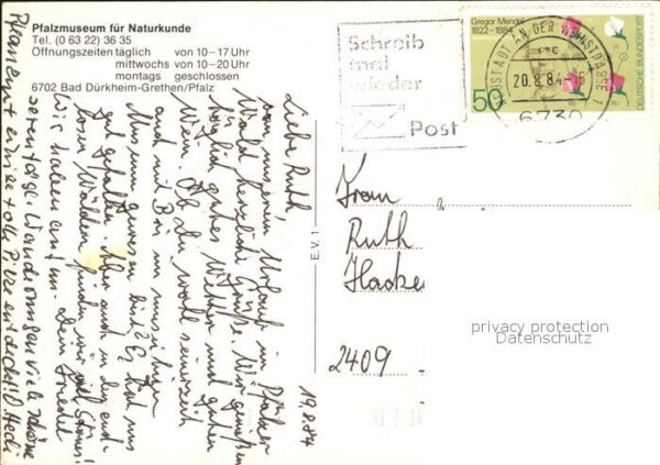 Grethen Bad Duerkheim Pfalzmuseum für Naturkunde – Bild 2