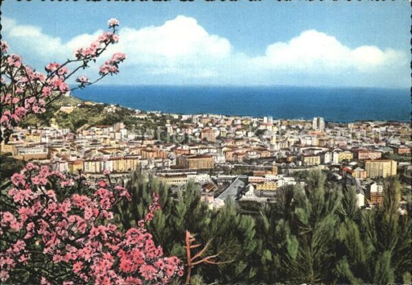Savona Liguria Panorama di levante Baumblüte