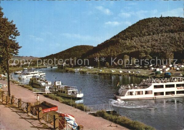 Neckarsteinach Uferpromenade am Neckar Bootsanleger Au