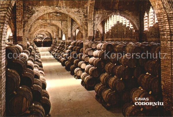 Barcelona Cataluna Cavas Codorniu Una bodega Monumento Nac