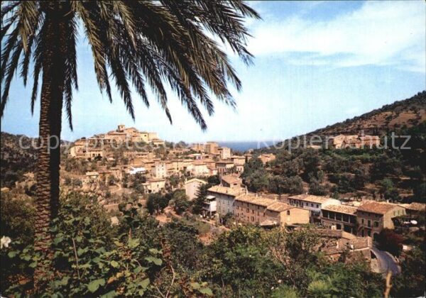 Deya Panorama