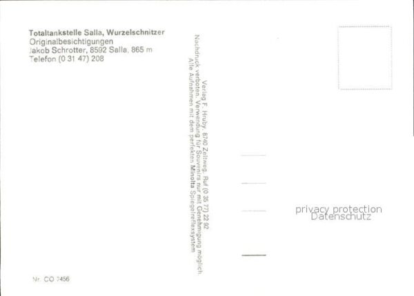 Salla Wurzelschnitzer – Bild 2