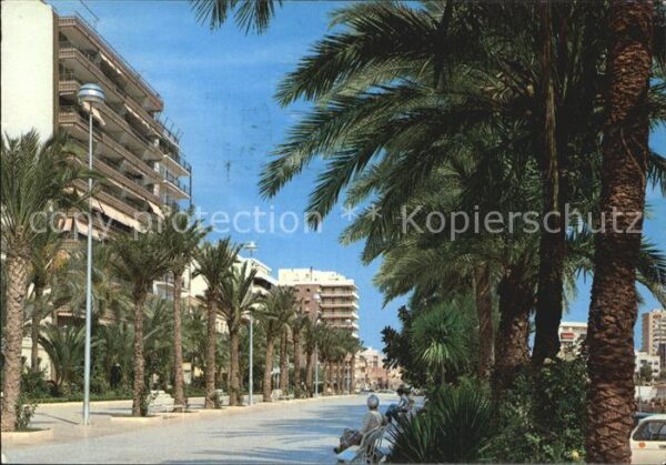 Torrevieja Paseo de Jose Antonio