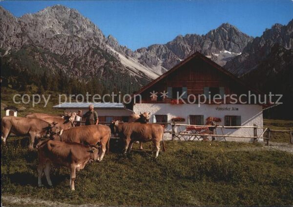 Telfs Tirol Eppzirler Alm
