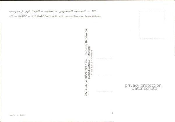 Marokko Maroc Kamelreiter – Bild 2