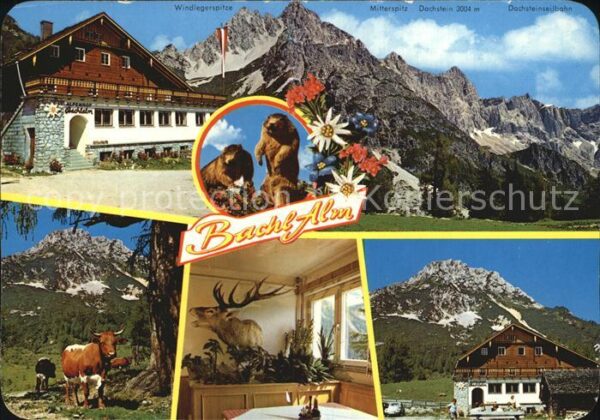 Hachau Alpengasthof Bachalm