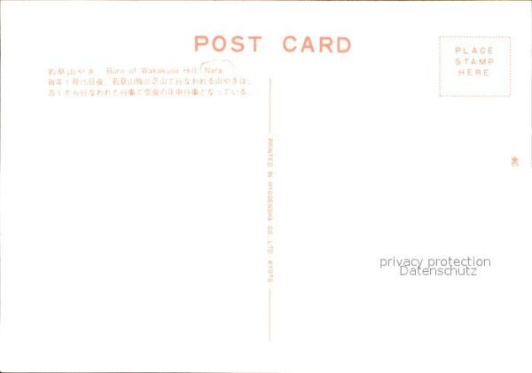 Nara Burn of Wakakusa Hill – Bild 2