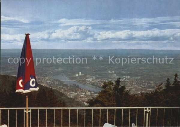 Heidelberg Neckar Blick vom Hotel Königstuhl