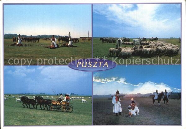 Zalakaros Puszta