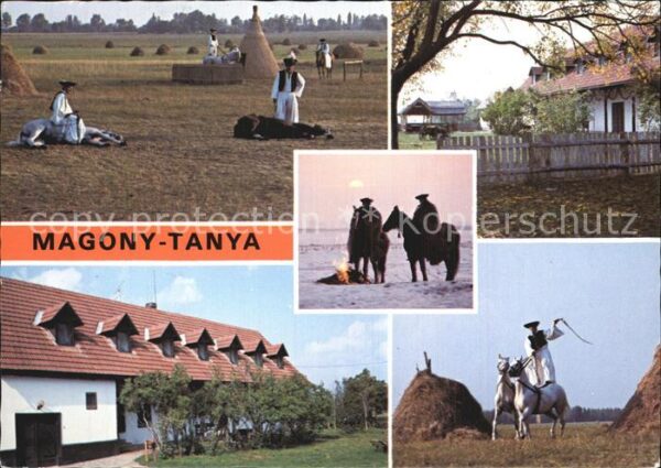 Magony Tanya