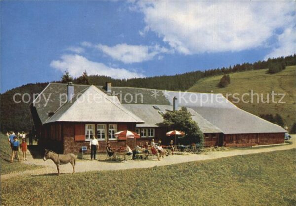 Muenstertal Schwarzwald Almgaststätte Kälbelescheuer