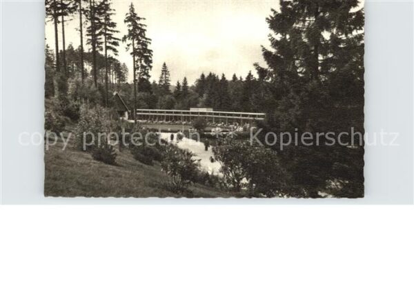 Braunlage Kurpark mit Wandelhalle