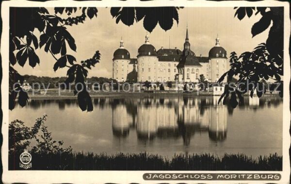 Foto Hahn Nr. 8780 Jagdschloss Moritzburg
